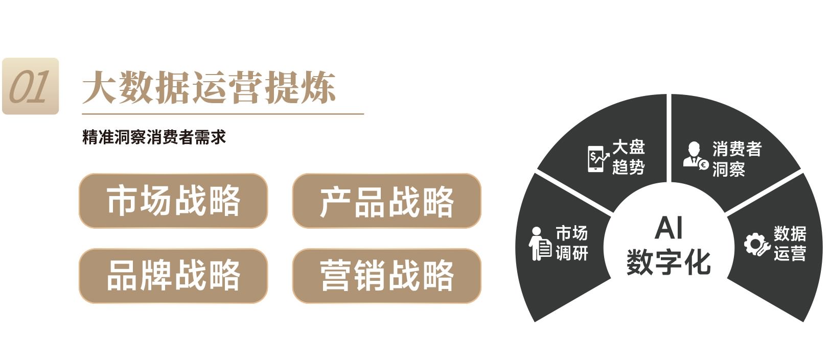 大(dà)數(shù)據運營(yíng)提(tí)煉(liàn)